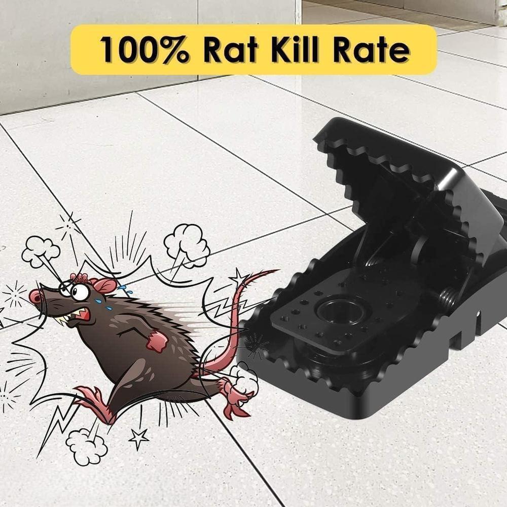 Mouse Trap : Pack of 2