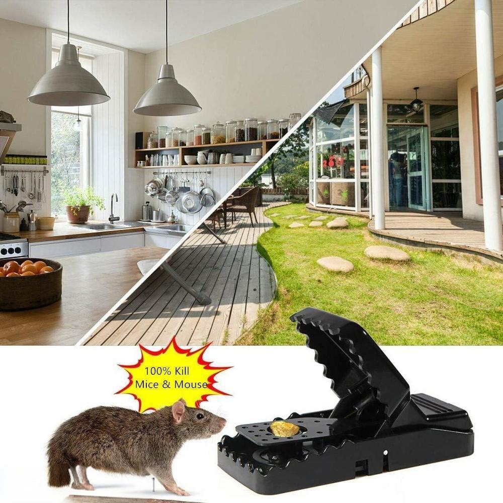 Mouse Trap : Pack of 2