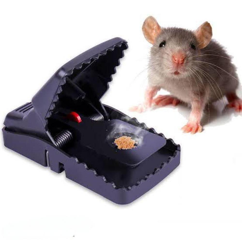 Mouse Trap : Pack of 2