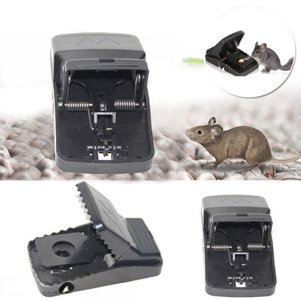 Mouse Trap : Pack of 2